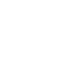 Certified Professional Badge